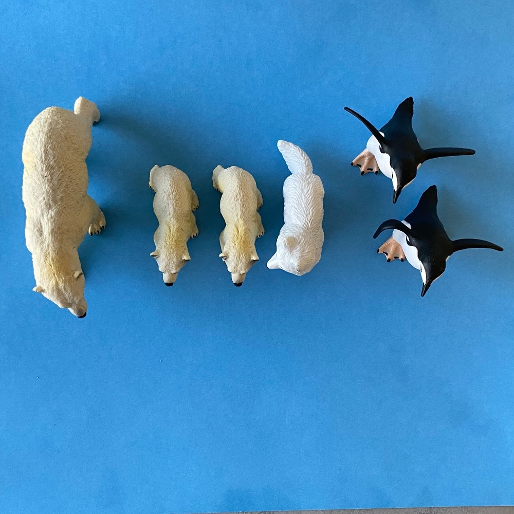 NORTH POLE ANIMALS / POLAR BEARS, ARTIC FOX, PENGUINS - Picture 9 of 13